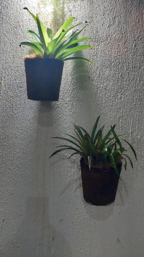 Pousada Vila Mar Παρατί Εξωτερικό φωτογραφία